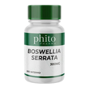 Boswellia Serrata 300Mg - 90 Cápsulas